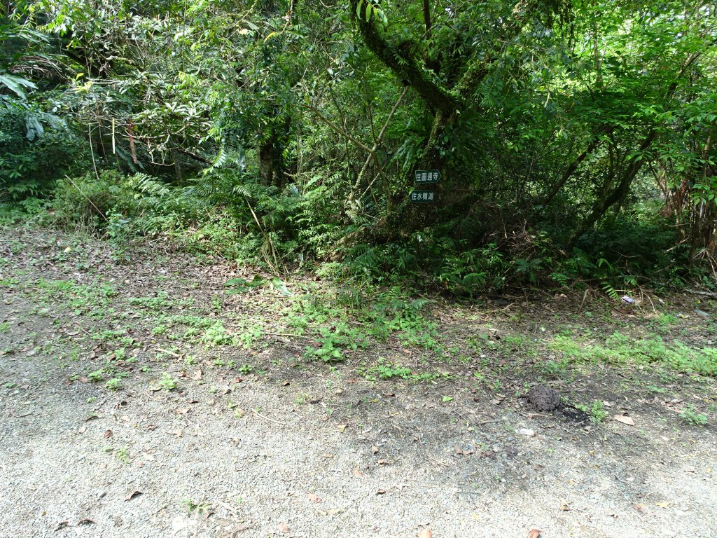 宜蘭小百岳4座~東門及羅東夜市美食之旅_1317661