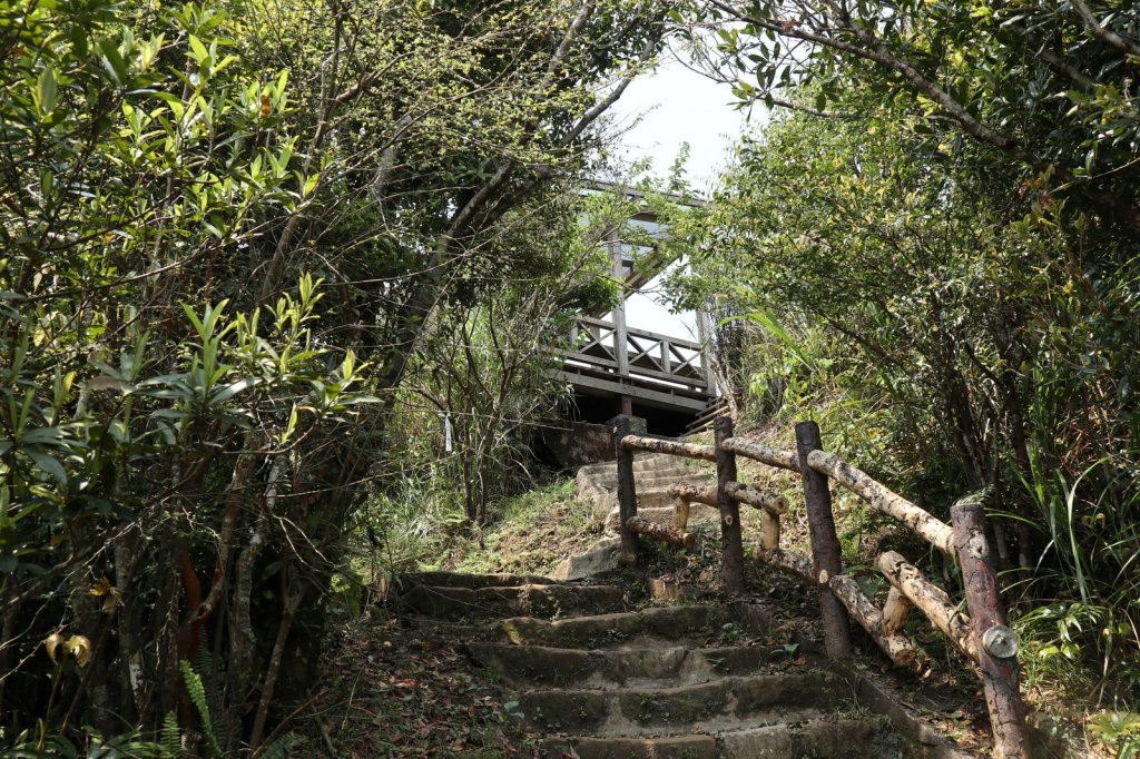 2019,03 二格風景 _553180