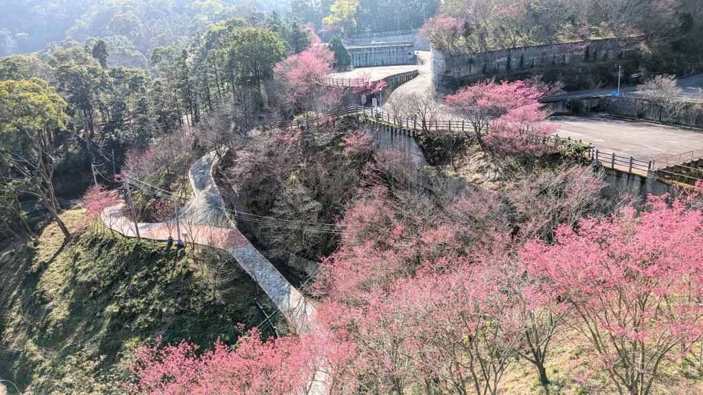 貓貍山.協雲宮,青青草原封面圖