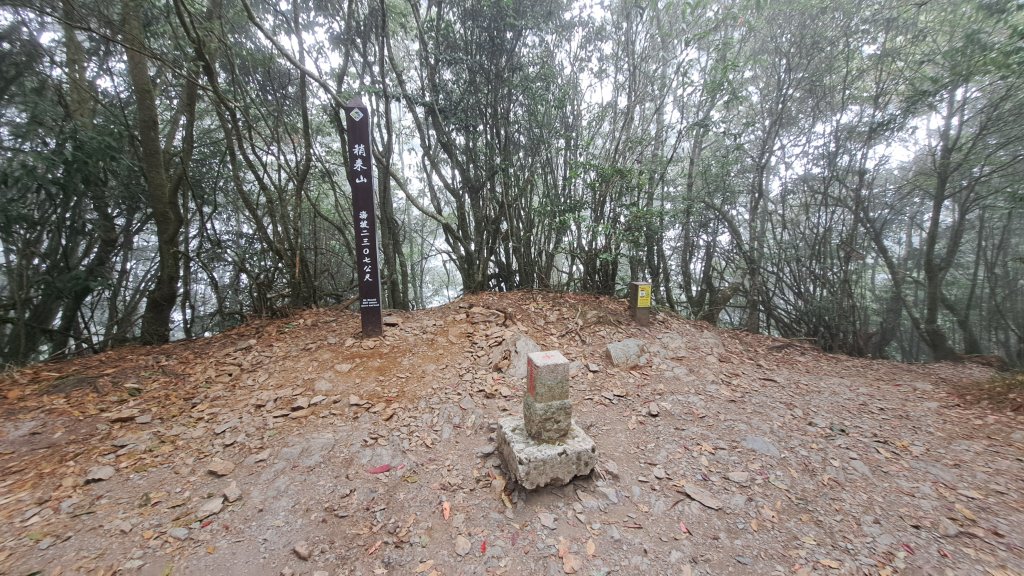 台中 鳶嘴稍來山O繞+稍來神木_2989538