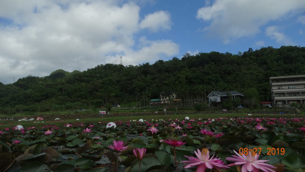 貢寮巡田水-桃源谷步道草嶺線_661076
