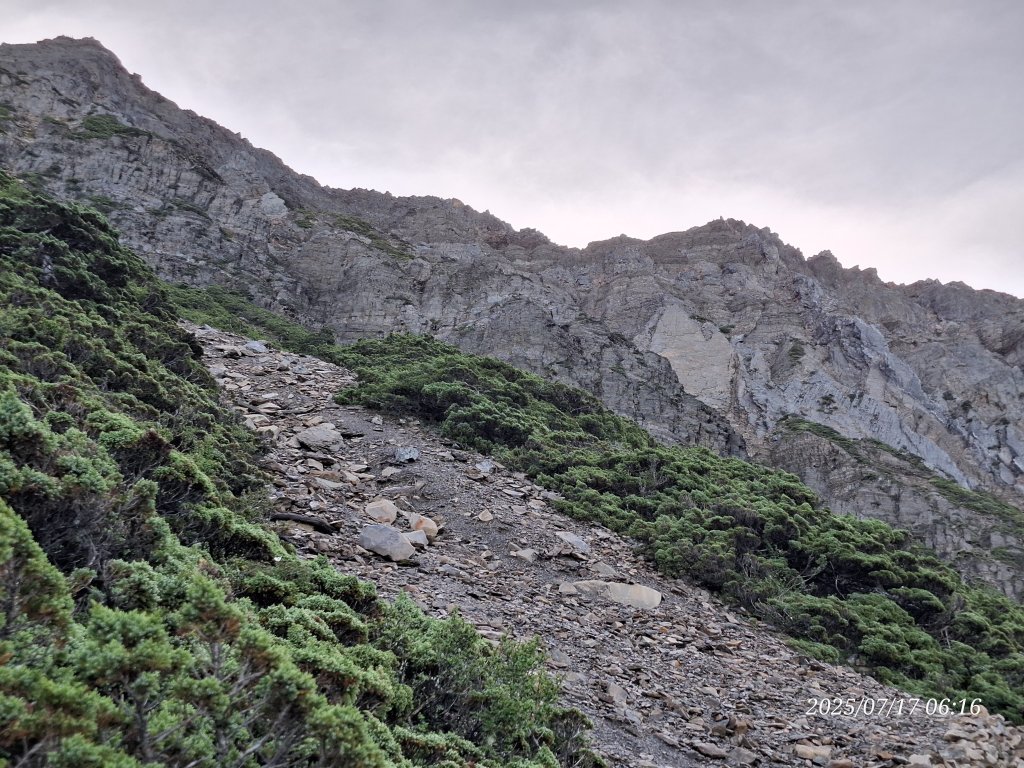 2025.07.17 夏季單登玉山主峰西峰_2842671