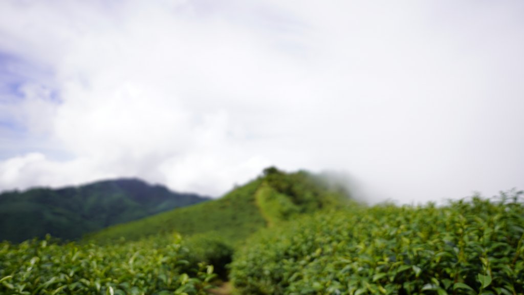 雲嘉九連峰_1438892