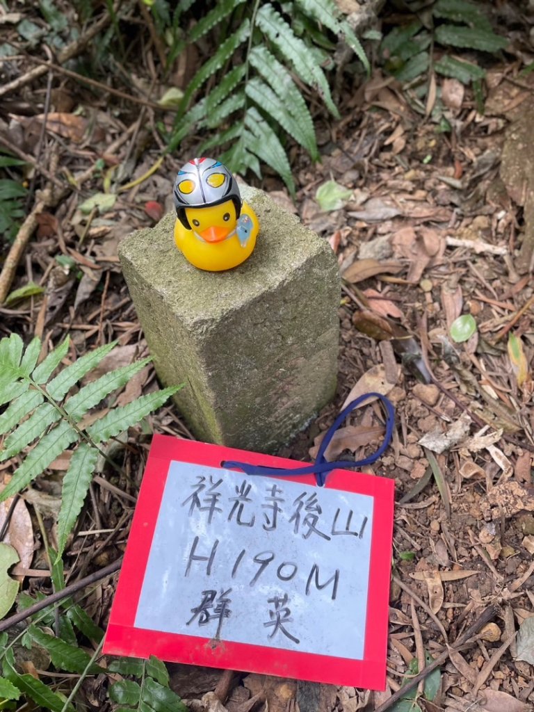 銀河洞越嶺貓空-新高麗坑山-銀獅縱走-猴山岳群峰+三條魚縱走_2699530