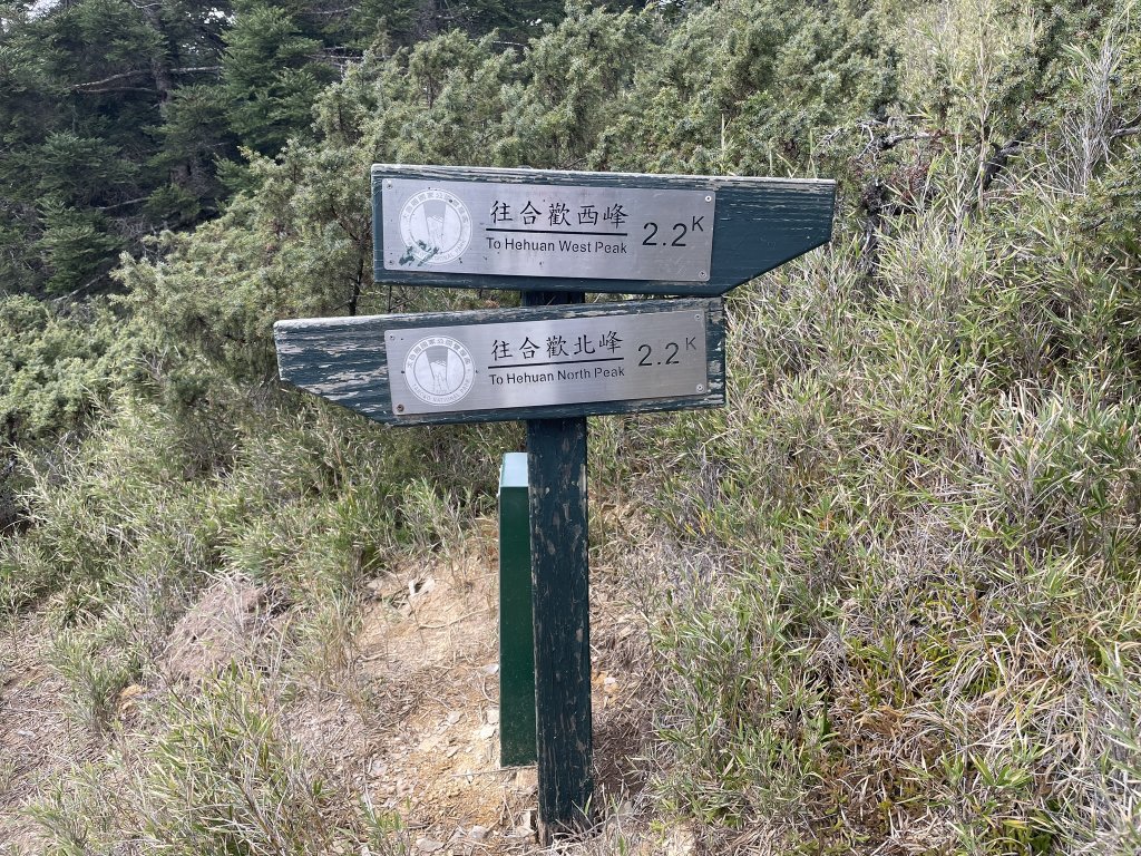 合歡北、西峰(三訪)113.04.21_2492787