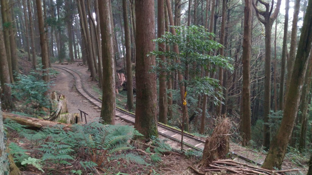 嘉義 阿里山 兒玉山、東水山、北霞山_1486826