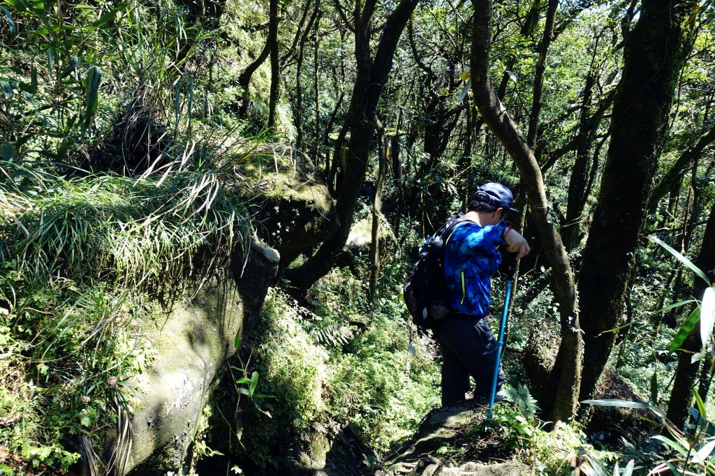七星連走 O型 2018.03.11_291594