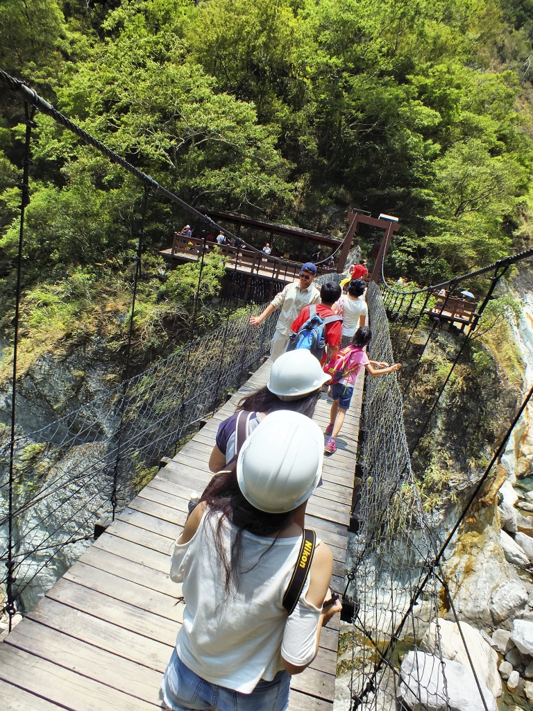 白楊步道_20743