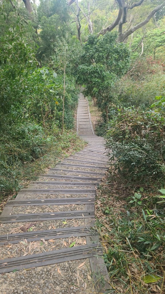 2025-0208聚興山小百岳_2710859