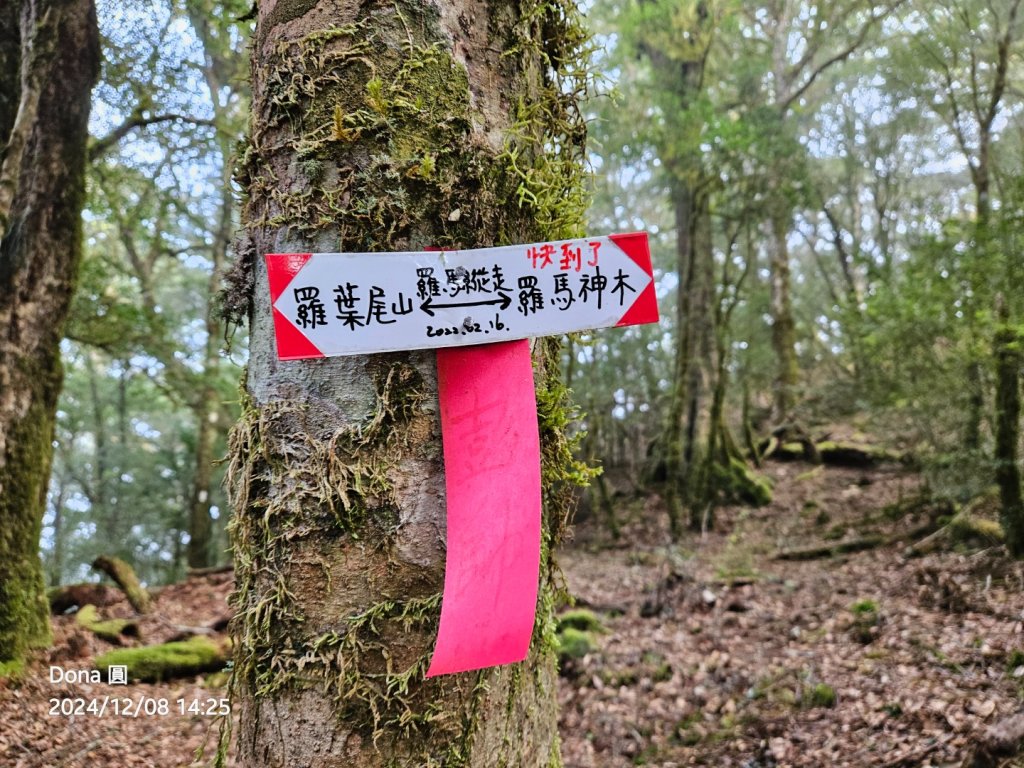 追趕跑跳蹦的羅馬縱走_2666215
