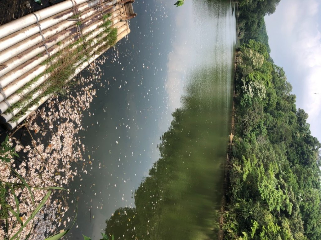 5/4漢生登山_1373206