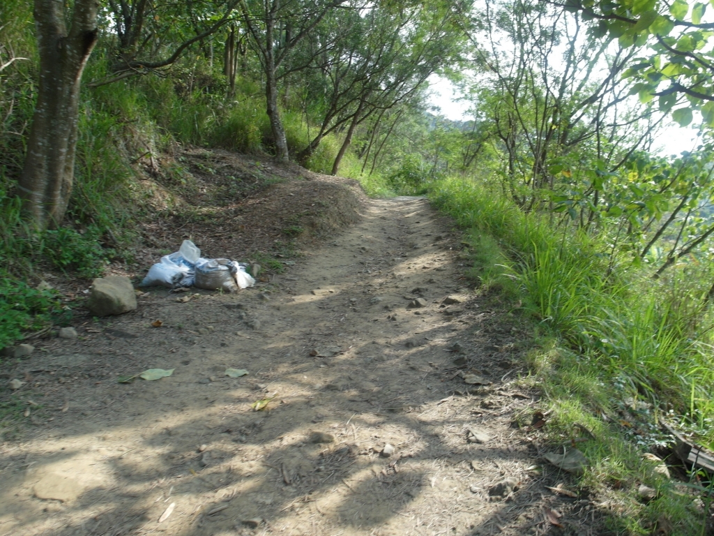 台灣小百岳第43座和第44座暗影山三汀山_87680