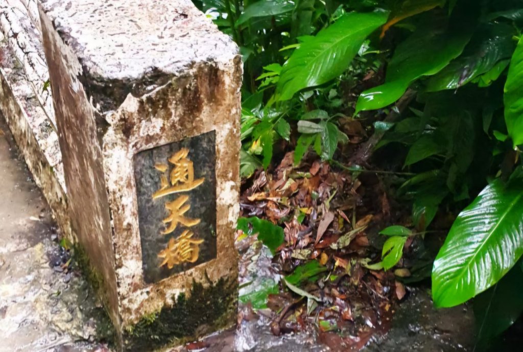 【中級山】宜蘭抹茶山（三角崙山），聖母登山步道，五峰旗瀑布_2741064