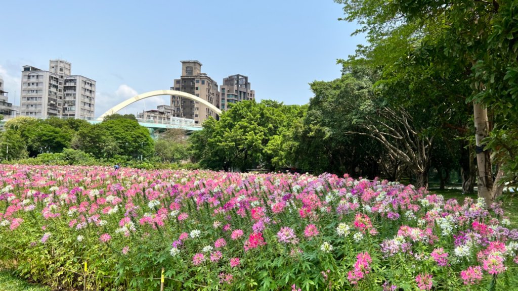 臺北大縱走第八段：動物園到關渡捷運站_2134356