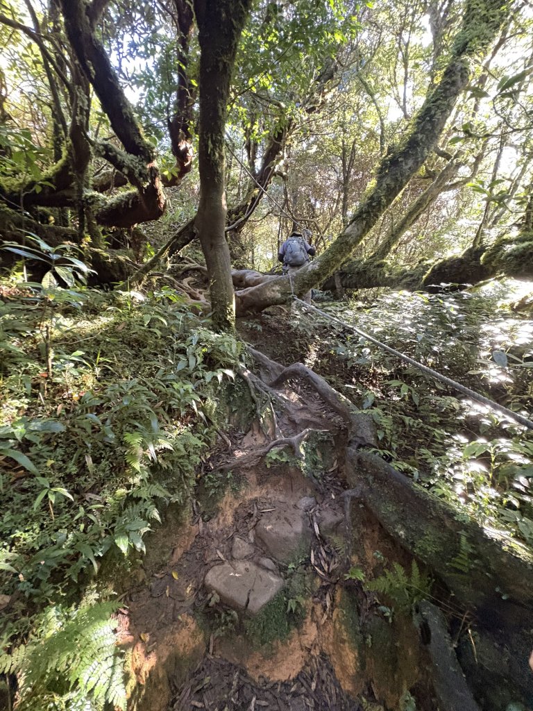 20251213屏東里龍山_2961355