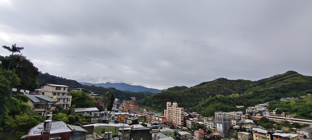 2026/03/01-紅淡山步道_3010050