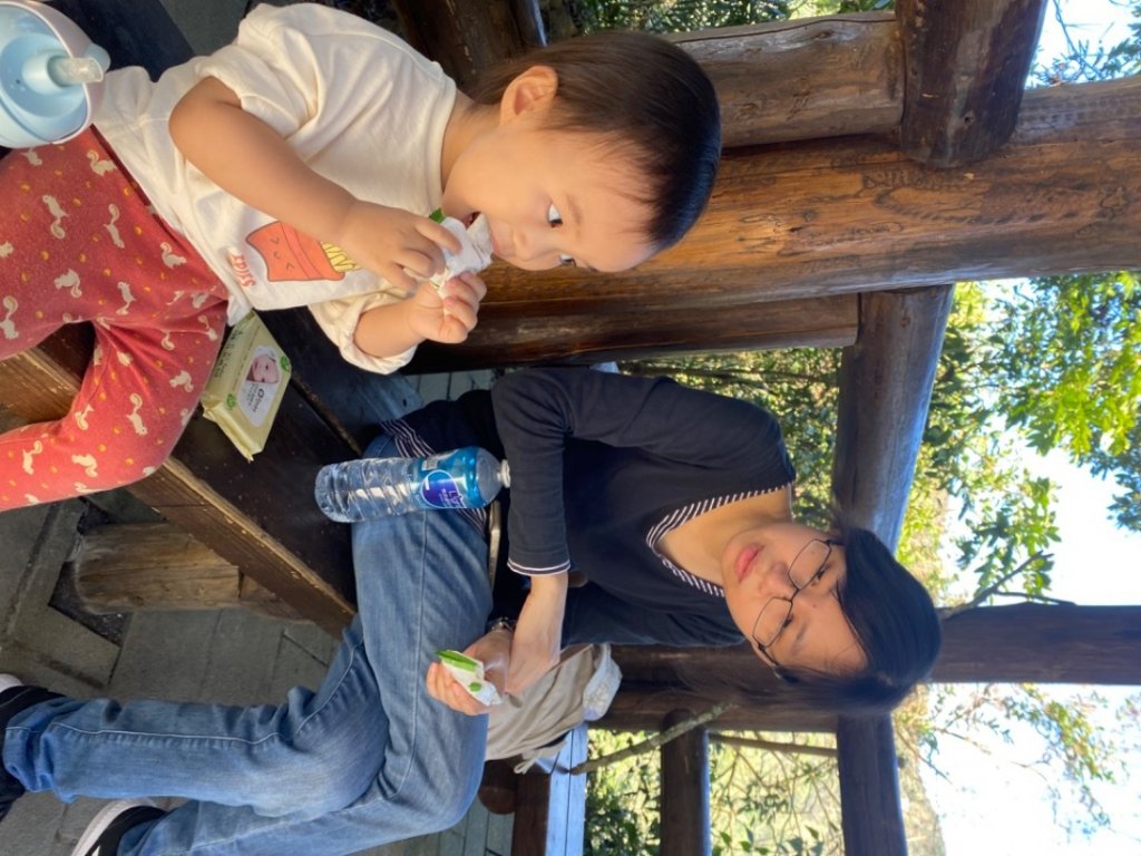 嘉義竹崎-小百岳058-獨立山_1982525