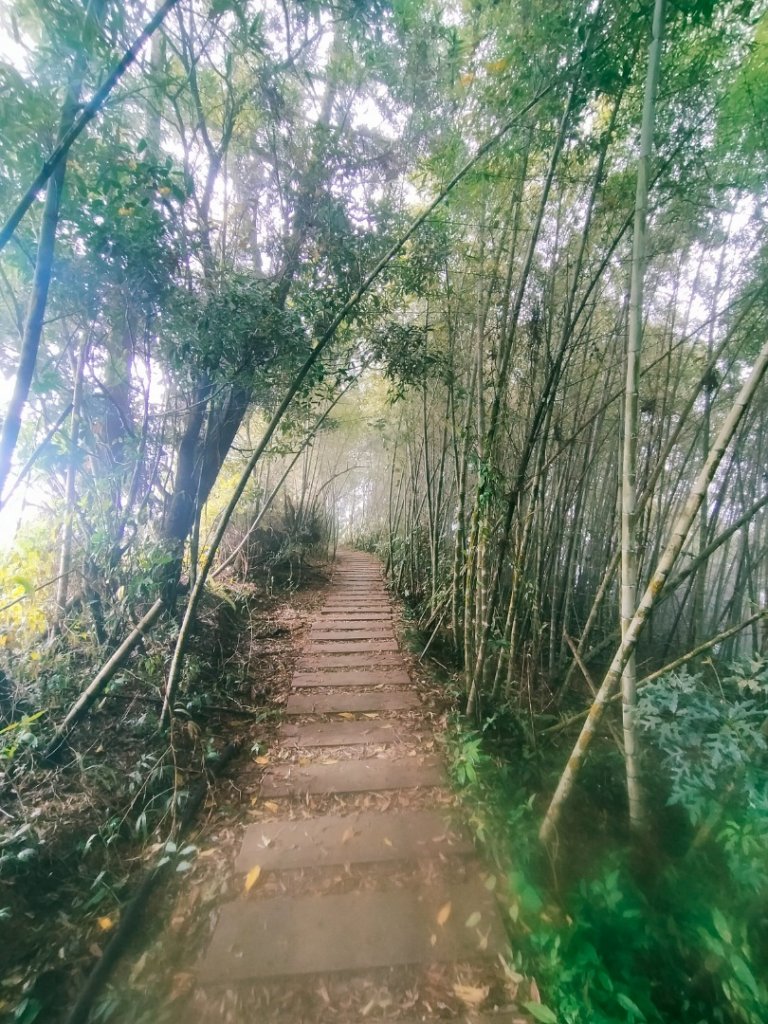 雲嘉連峰_2365685