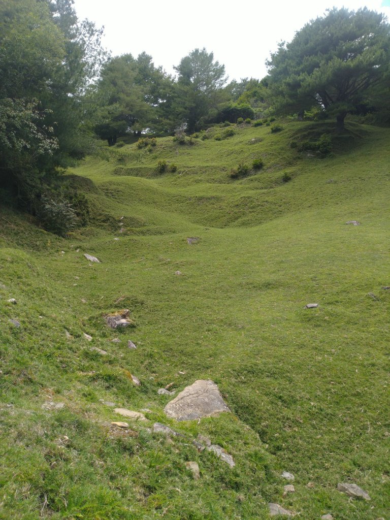 2022-07-21 塔塔加一日遊(麟趾山、鹿林山)_1771455