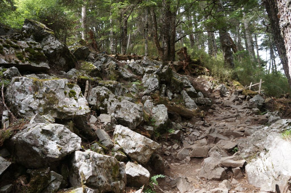 雪山主、東峰登山趣_388934