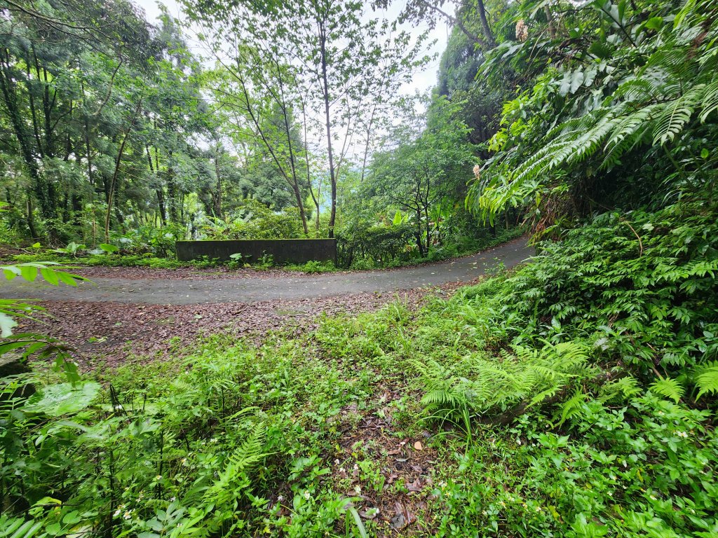 20250427大山背山田寮山毬子山騎龍山_2933640