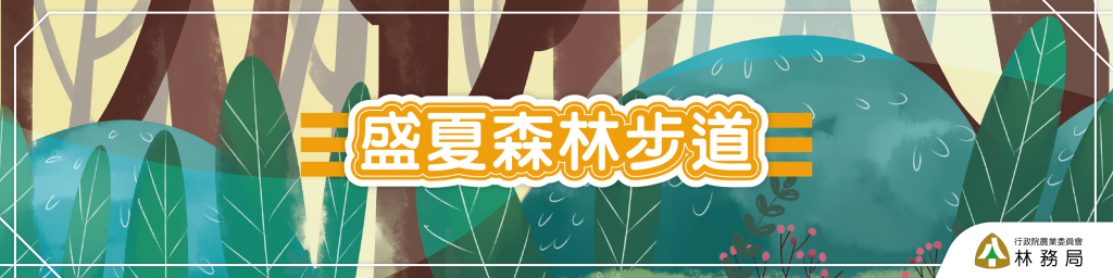 盛夏森林步道封面