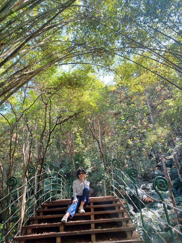 【南投魚池】澀水森林步道_2933047