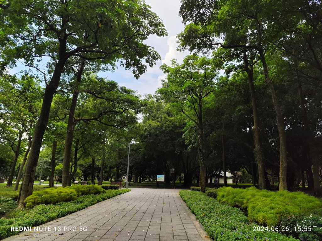 大安森林公園【走路趣尋寶】【臺北健走趣】_2536256
