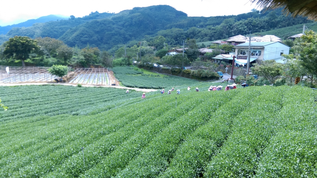 雅吾瑪斯 在優遊吧斯的艷遇_55453