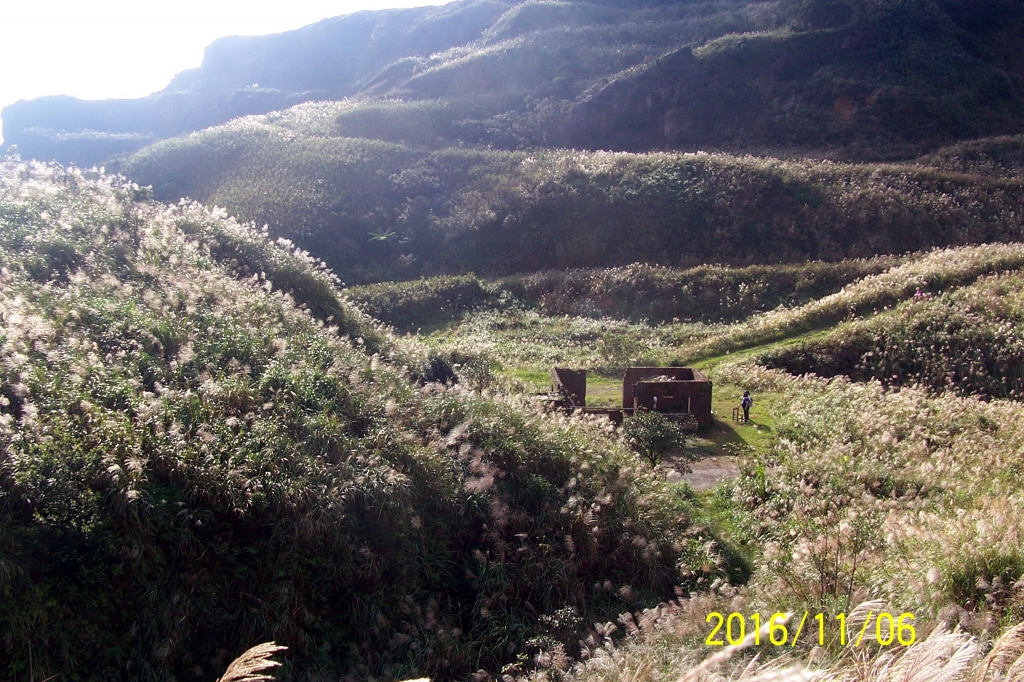 1051106貂山古道賞芒趣_69514