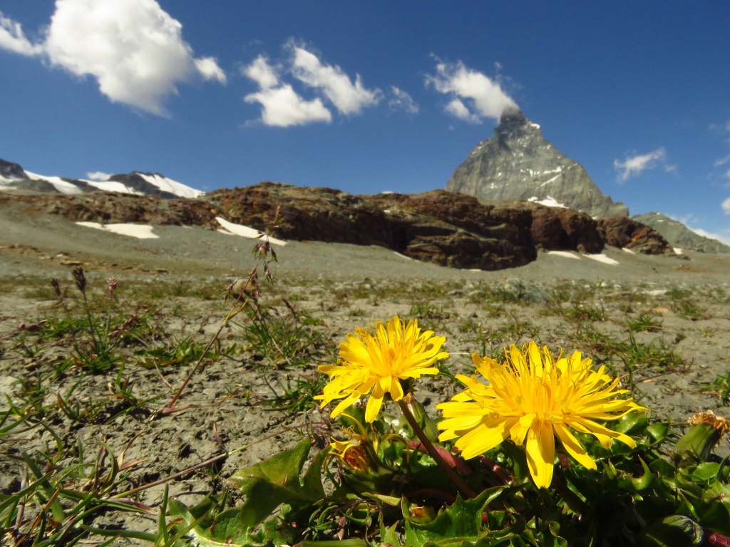 健行筆記-八月瑞士健行團上篇_60440