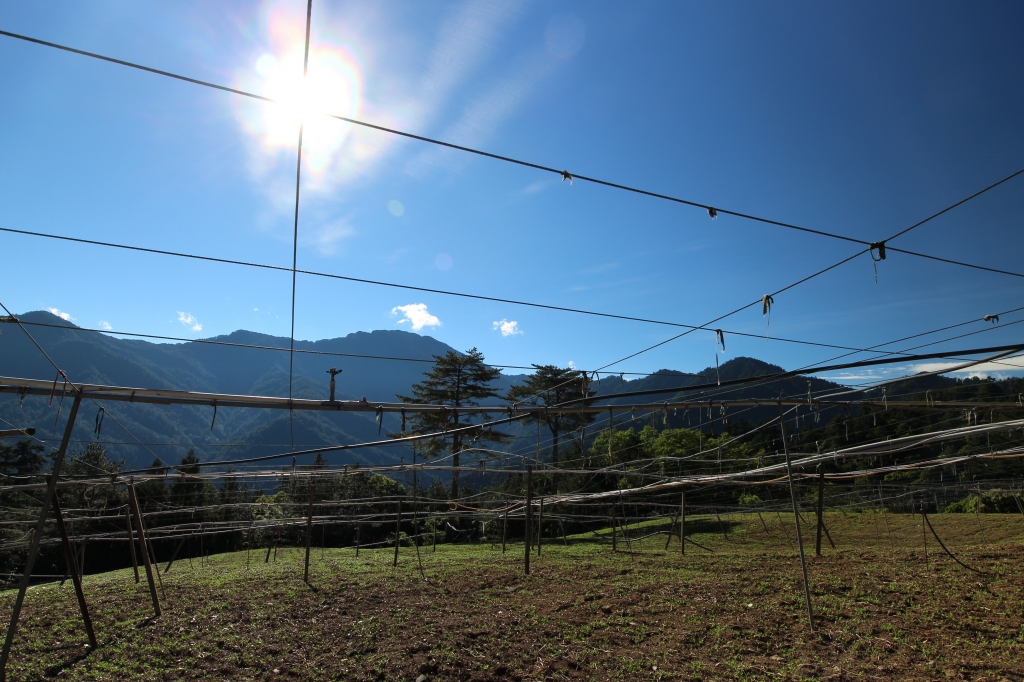 遇見武法奈尾_59028