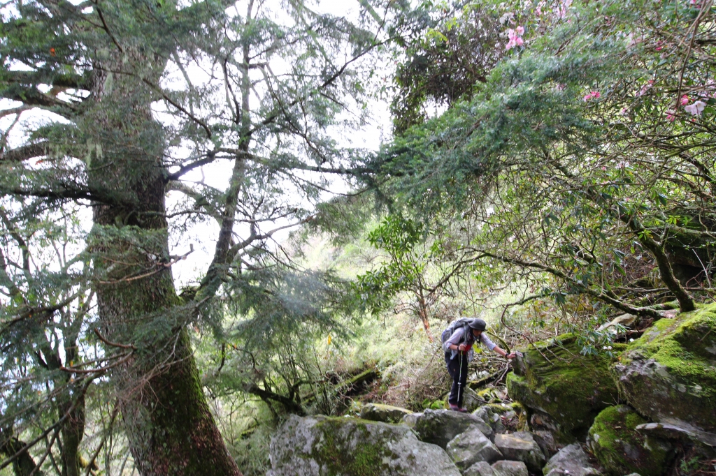 玉山前峰重裝訓練_57294