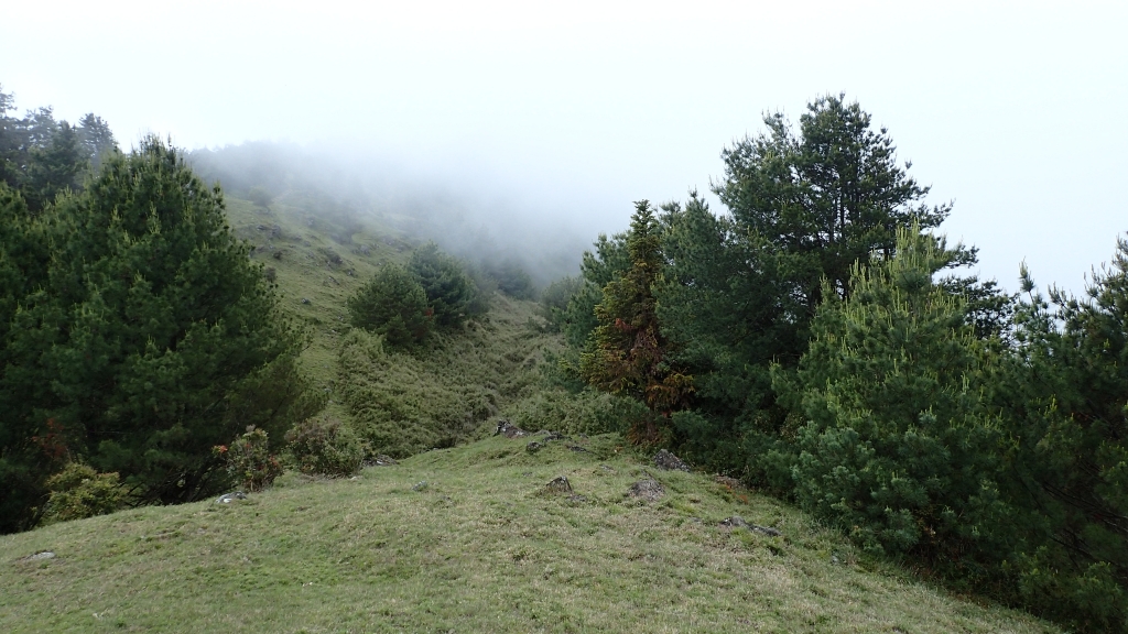 鹿林山與麟趾山O型走    來去賞玉山_57927