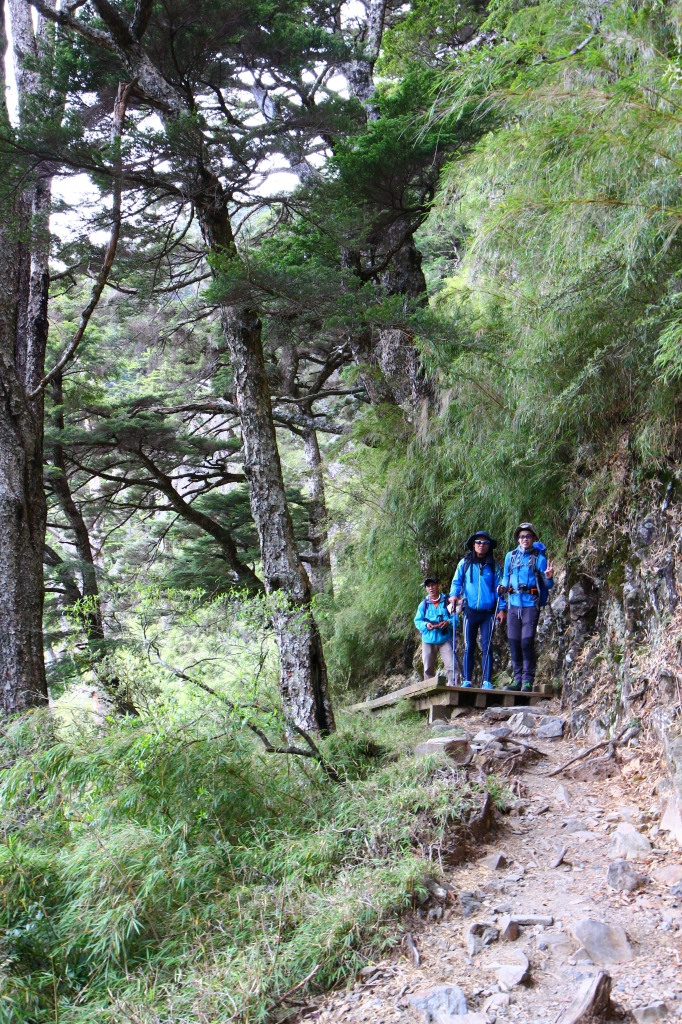 玉山主峰，眾山巔之首_57248