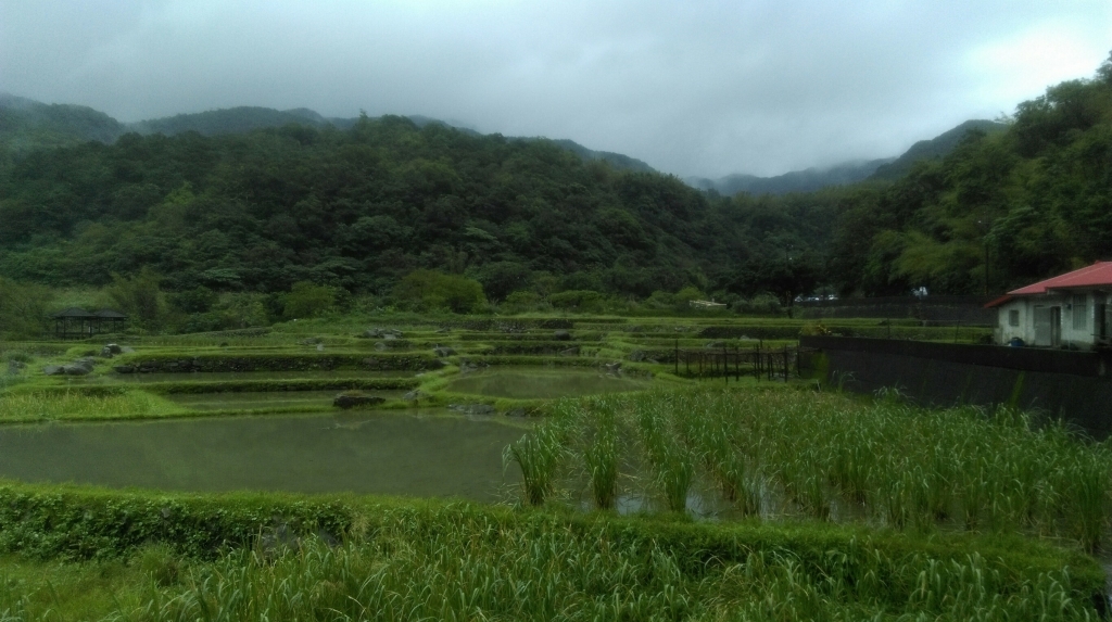 草嶺古道(福隆~大里)105.11.27_75208