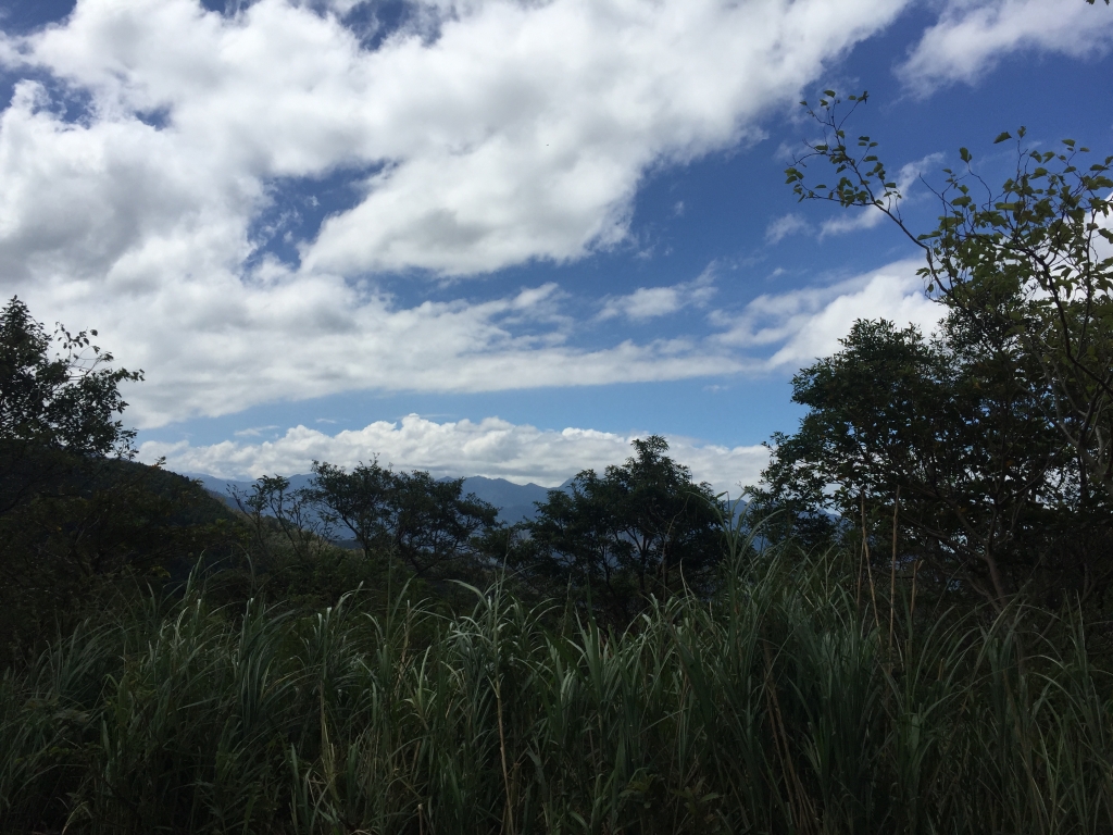 東眼山森林遊樂區_63807