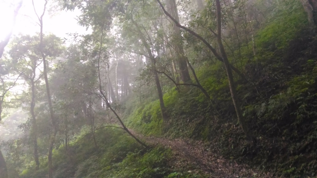 105.10.15 嘉南雲峰、石壁山_65985