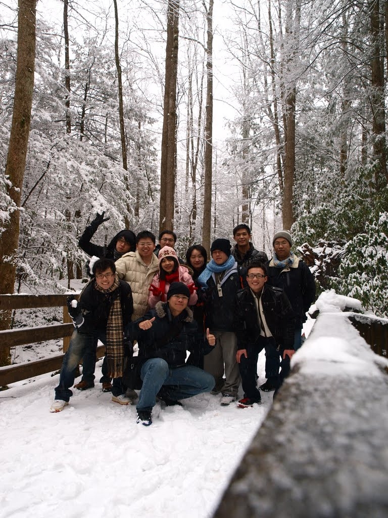 美國大煙山國家公園_59578