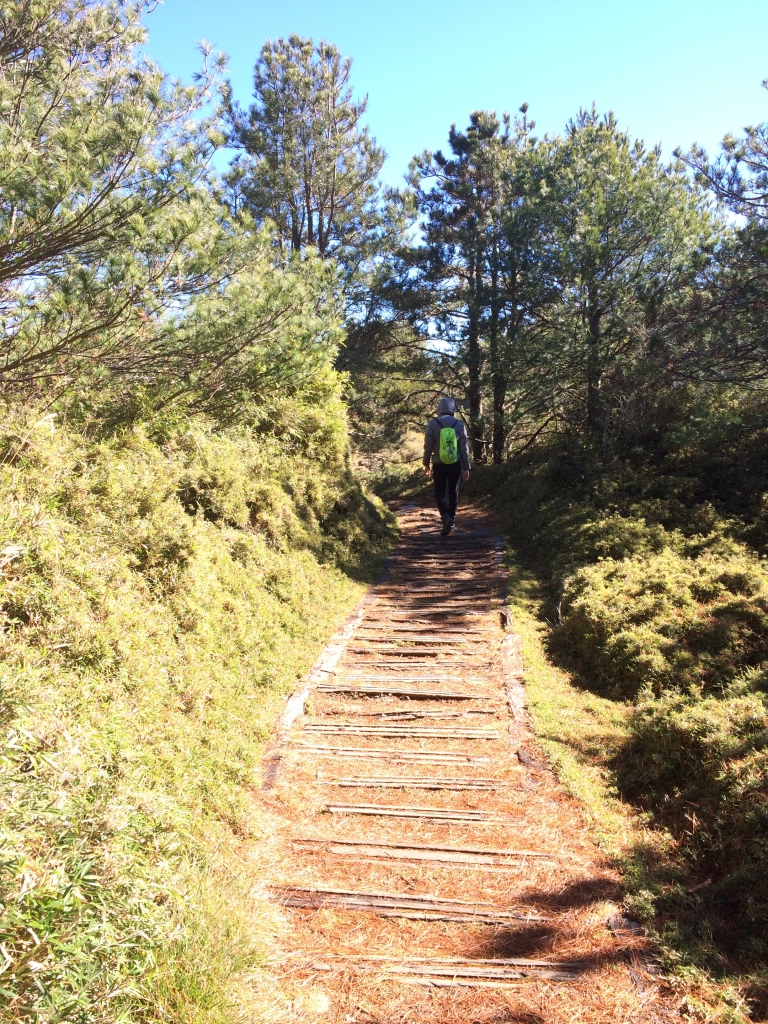對視，白色玉山群峰_57588