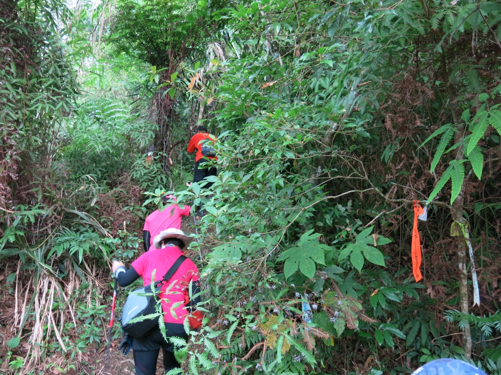 造訪原鄉部落順登立霧山_55698