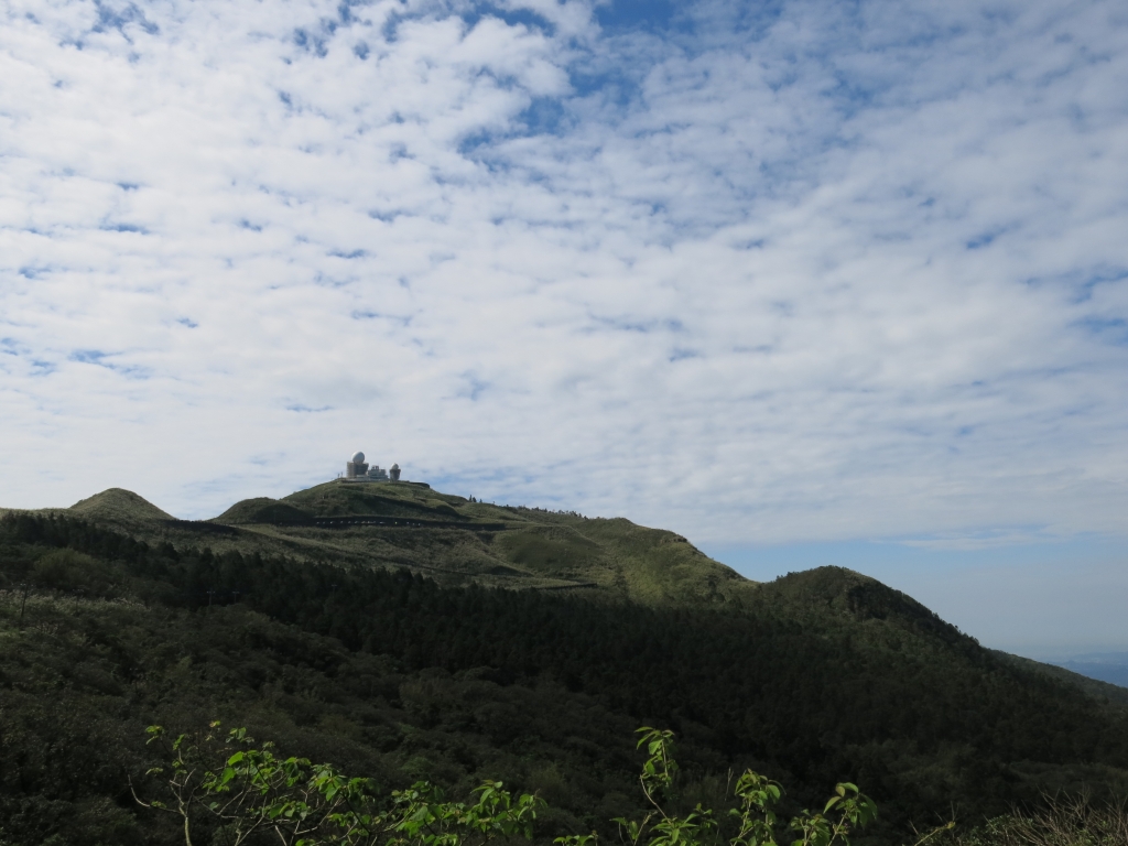 五分山賞芒趣_72014