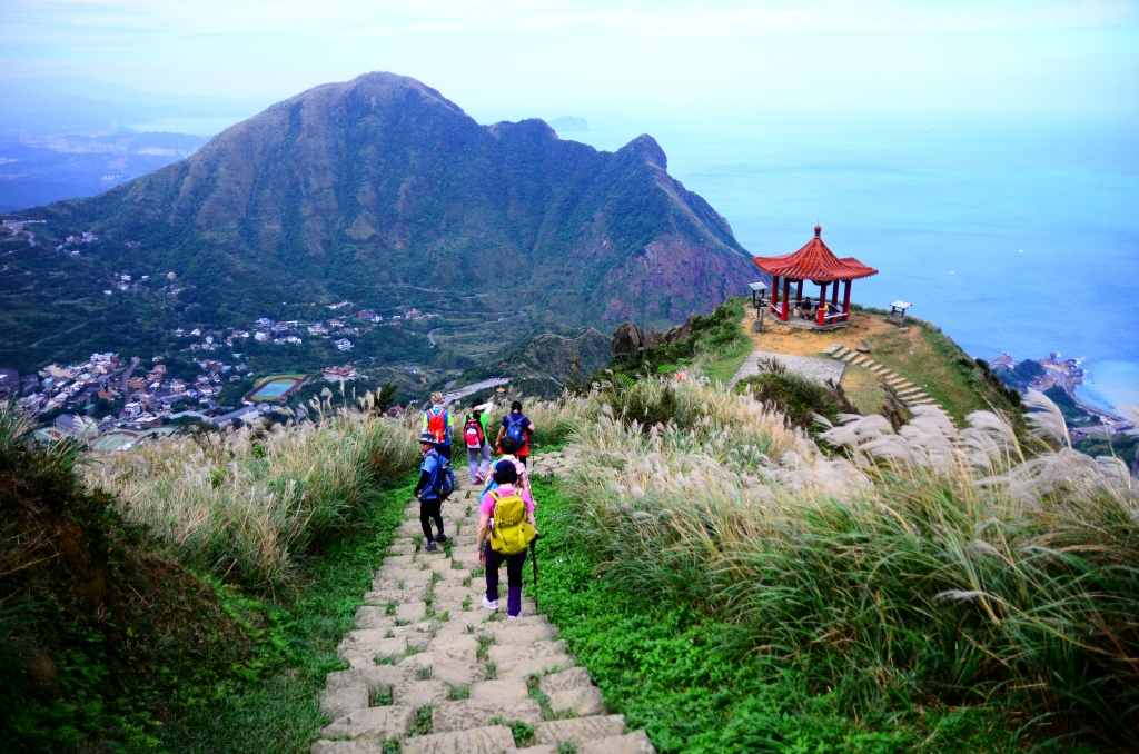 劍龍稜芒花之旅_73318