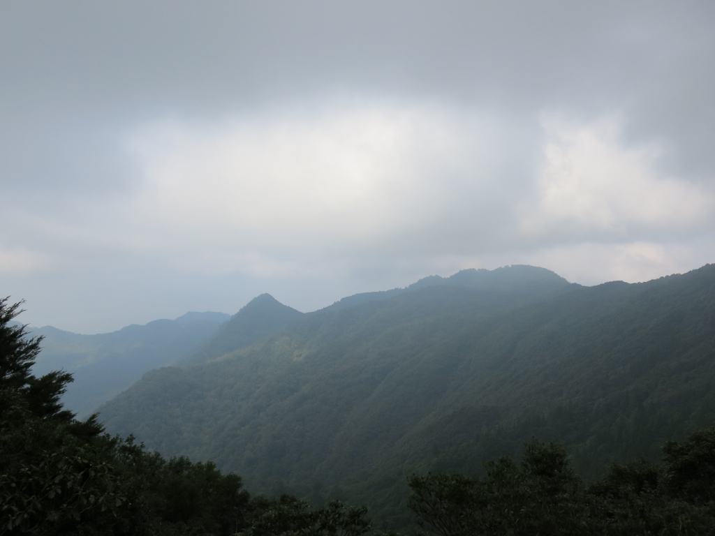 秋之饗宴～山毛櫸秘境_69164