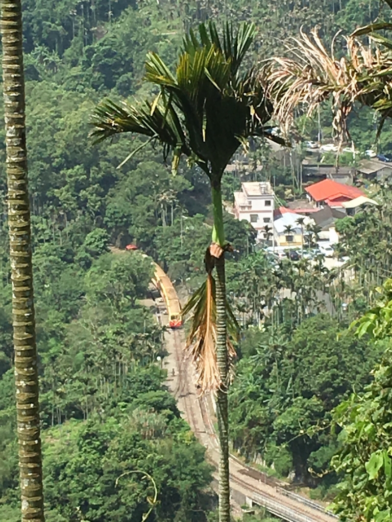 與森林小火車相依的獨立山步道_56916