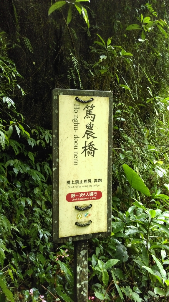 宜蘭大同鄉:九寮溪歩道105.07.10_55782
