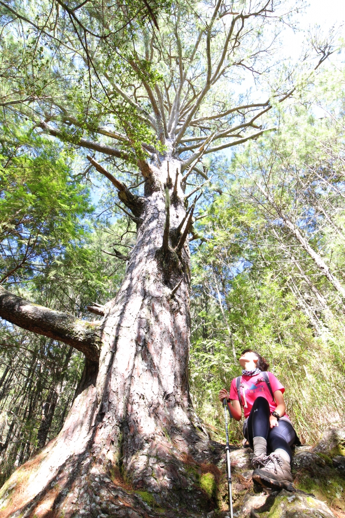 遇見武法奈尾_59018