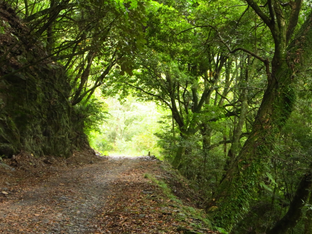 大小霸尖山群峰_世紀奇峰之旅_66595