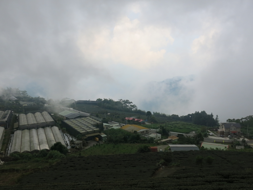 漫步在雲端～二延平霧之道雙拼_55874