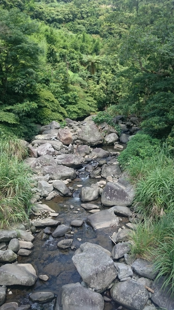 2016.06.25-坪頂古圳_58052